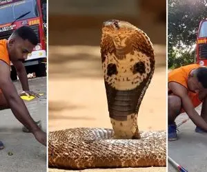 عجایت واقعی ؛ خفن ترین آتش نشان دنیا ایشونِ چه حرفه ای مار کبری رو کرد تو قوطی خیارشور