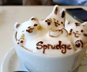 آشپزی خلاقانه؛ آموزش فوم گیری شیر با دستگاه اسپرسو ساز چنتا تکنیک طلایی گفتم