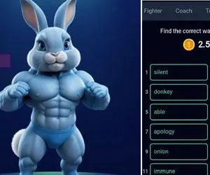 کد انیگما راکی رابیت (rocky rabbit) امروز 23 شهریور + آموزش وارد کردن