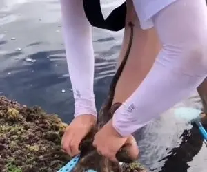 هشت پا چسبیده به پای خانومه ول هم نمی کنه! / چه زن شجاعی