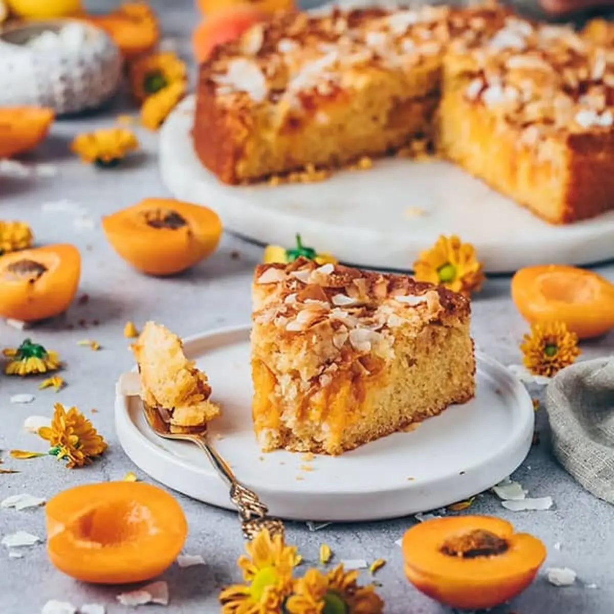 cake-zardaloo1