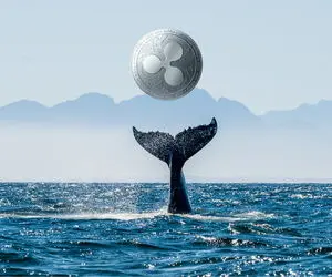 جابه جایی عجیب ریپل توسط نهنگ ناشناس!