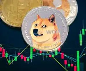 درخواست خارق العاده دوج کوین!