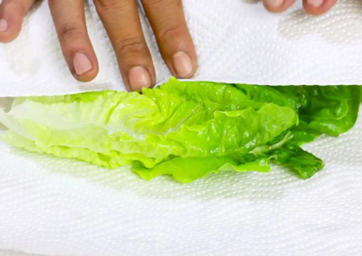 Keep-lettuce-fresh-3