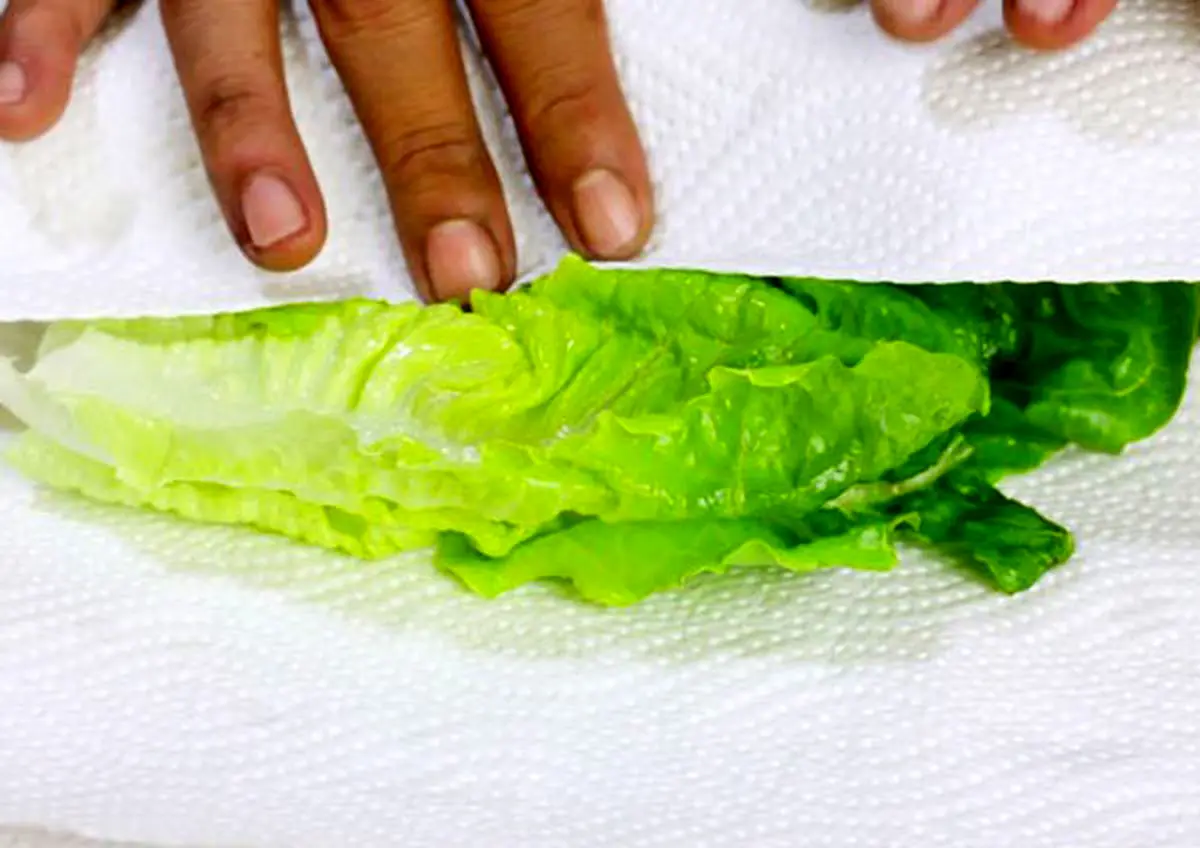 Keep-lettuce-fresh-3