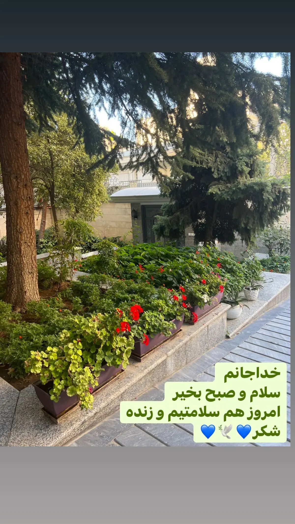 fariba_naderi___2919616342506874684_266452035
