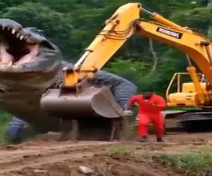 وحشی مصنوعی؛ حمله آخرالزمانی کروکودیل هیولا به اپراتور بیل مکانیکی