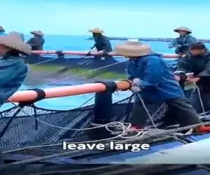 مستند کاوش؛ یه قسمت دریا رو قرق کردن یه عالمه غذا ریختن ماهیا گول میخورن گیر میرفتن