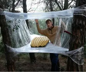 معماری خلاقانه؛ ساخت خونه با سلفون برای در امان ماندن از شر خرس