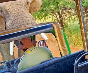 مستند حیات وحش؛ فیل عصیان کرد و اتوبوس توریست ها رو مثل توپ به زمین کوبید