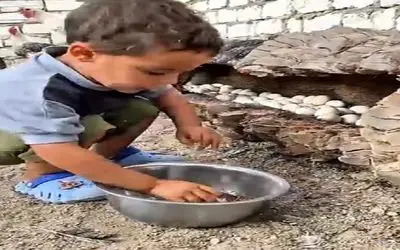 دامداری نوین؛ توی نخل مرده رو خالی کرد پنجره پنجره خونه ساخت برا مرغا راحت تخم  بذارن