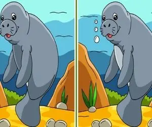 بازی فکری؛ به سلمان خان گفتن 3 تا تفاوت تصویر رو پیدا کنه نتونست تو میتونی یا ناتوانی