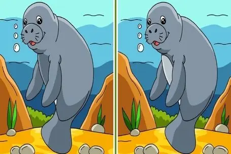 بازی فکری؛ به سلمان خان گفتن 3 تا تفاوت تصویر رو پیدا کنه نتونست تو میتونی یا ناتوانی