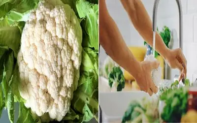 گل‌ کلم رو چطوری بشوریم که همه خاک و گلاش بره؟/ صفر تا صد شستشو و نگهداری از گل کلم