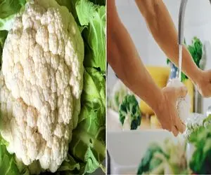 گل‌ کلم رو چطوری بشوریم که همه خاک و گلاش بره؟/ صفر تا صد شستشو و نگهداری از گل کلم