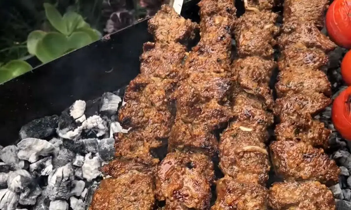 kabab-torsh-1