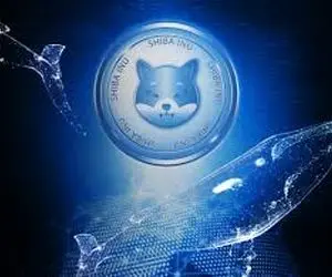 آیا نهنگ های پراز جنجال "شیبا اینو" افت کردند؟