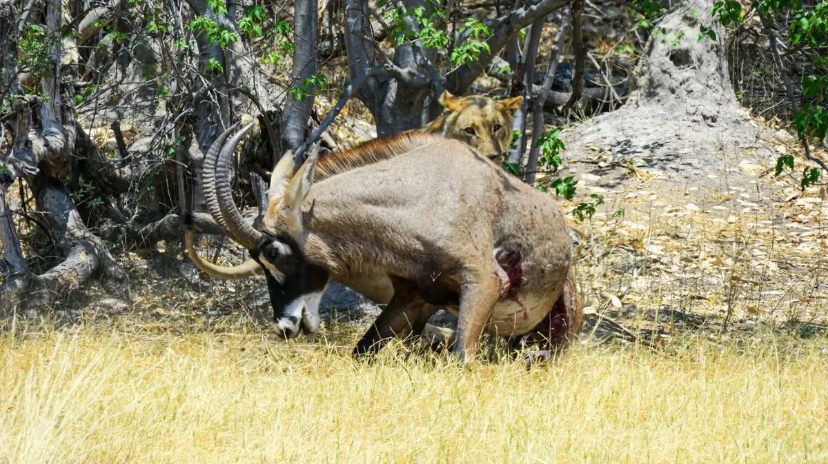 69