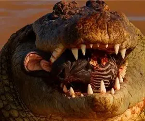 مستند حیات وحش؛ خر خطدار ساده دل اومد از قلمرو تمساح گذر کنه لا دندونش چرخ شد