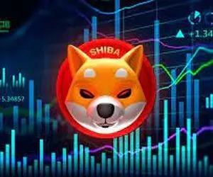 چتر نجات غیرمنتظره شیبااینو هنگام سقوط؟