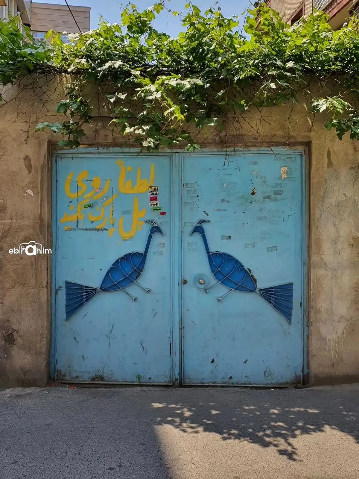 چرا دیگه در های ورودی رو این_شکلی درست نمیکنن؟؟نظرتون چیه؟؟عکس@ebrahim_azarpour ———————————————@ (15)