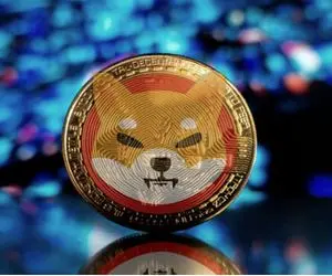 مهم برای دارندگان شیبا؛ ۱۹ میلیون شیبا نابود شد!