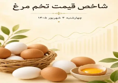 قیمت تخم مرغ امروز چهارشنبه 4 شهریور 1405 / تخم مرغ ارزان شد؟