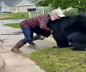 معماری طبیعت؛ نیت خرس سیاه خیر بود ولی مرد...