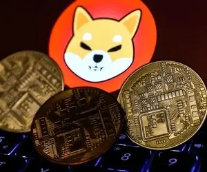 خارق العاده ترین حرکت نهنگ شیبااینو!