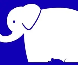 تست روانشناسی تصویری؛ تو تصویر چی میبینی؟ بگو تا رمز و راز شخصیتیت رو فاااش کنم