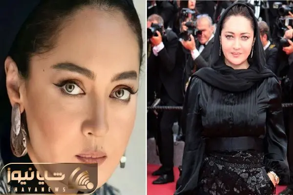 niki karimi shayanews