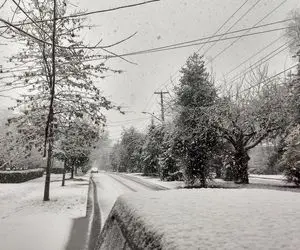 امشب تهرانی ها منتظر بارش برف باشند؟