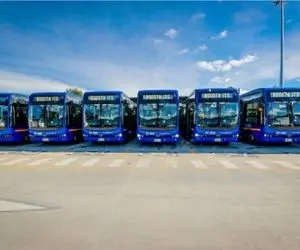 خاک خوری اتوبوس‌های صفر در گمرک