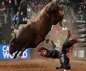 تاخت و تازهای خونین؛ گاو سرکش وسط بازی گاوچرون و کوبید به سقف ستون فقراتش خورد شد