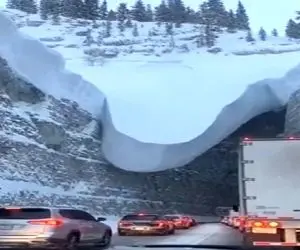 معماری طبیعت؛ تو ورودی تونل خاندان راننده ها اومد جلو چشمشون