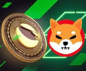 رقیب شیبااینو، لونا نقشه مرگ شیبااینورا کشیده؟!