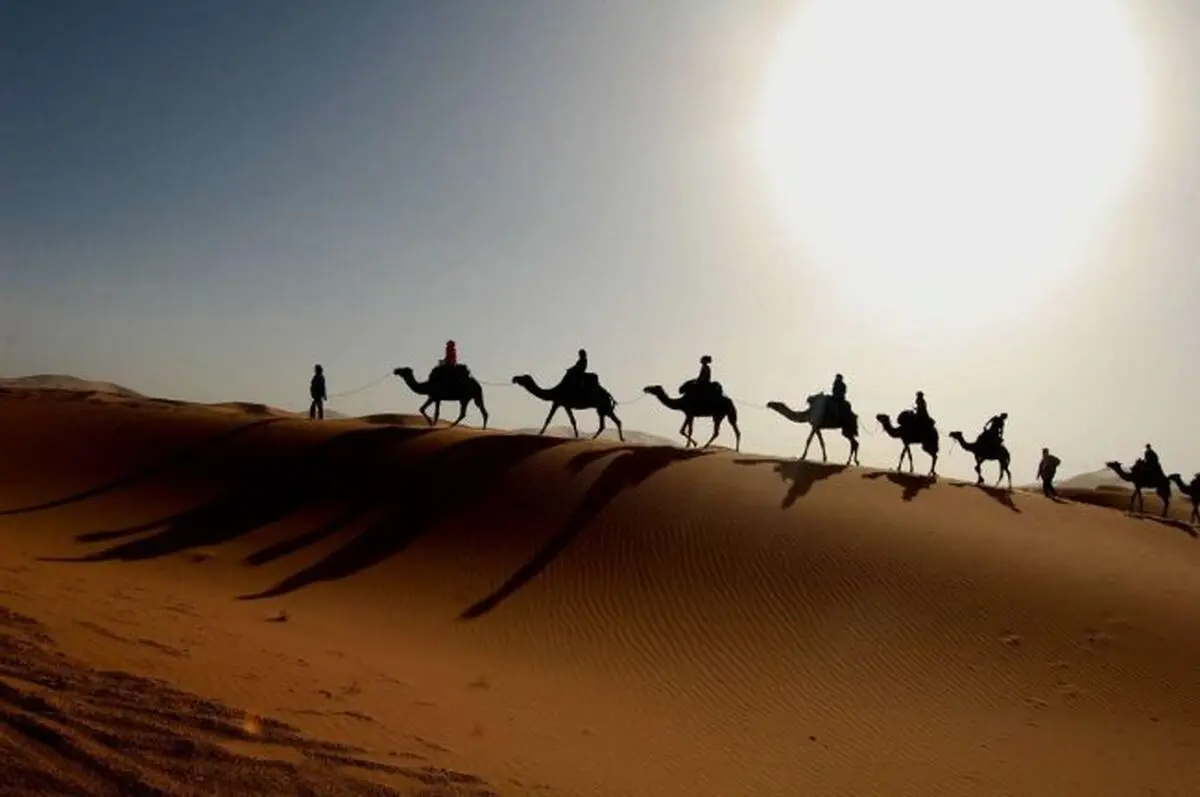 پاییز کجا بریم