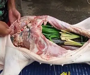 غذای چندش؛ شکم خوک حرومی سفید رو با سبزی و مایونز پر و بریونی میکنه میده به خورد ملت