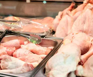 قیمت مرغ گرم امروز چهارشنبه 20 اسفند 99