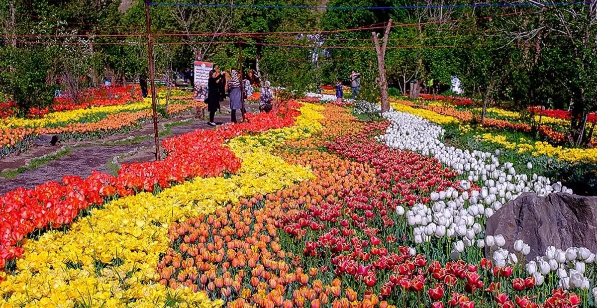 سفر یک روزه کجا برم