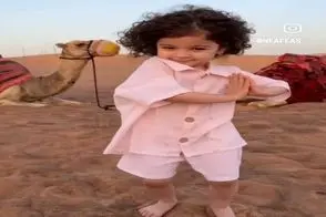 آواز شاد؛ فلفل ریزه میزه وسط بیابون یه اطواری میریزه شترا غشیدن از دستش
