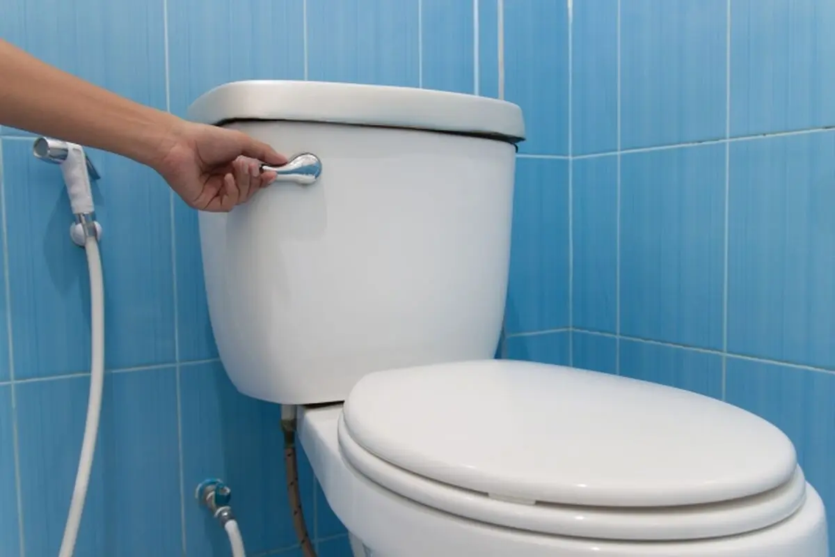 20151110lnp1-toilet