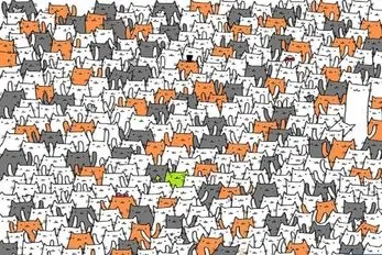 بازی فکری؛ خرگوش رو پیدا کردن فقط از نخبه های چشم عقابی برمیاد