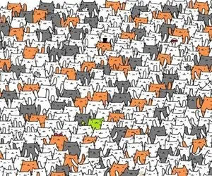 بازی فکری؛ خرگوش رو پیدا کردن فقط از نخبه های چشم عقابی برمیاد