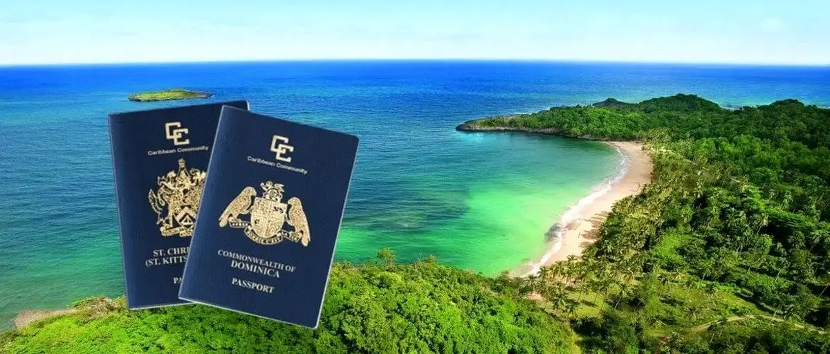 مهاجرت به دومینیکا