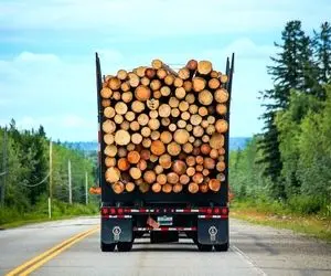 جا به جایی های جانکاه؛ مینی کامیونی که تا خرخره بار زده تو سربالایی داشت کله ملق میزد