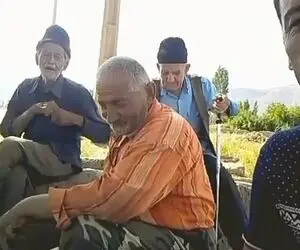 آواز شادیسم؛ پیرمرده داشت با صدای نوستالژیش آهنگ میخوند یهو الاغه باهاش همخونی میکنه