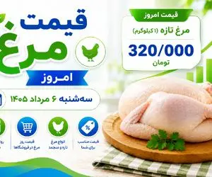 قیمت مرغ امروز سه شنبه 6 مرداد 1405 / فیله مرغ را با چه قیمتی بخریم؟