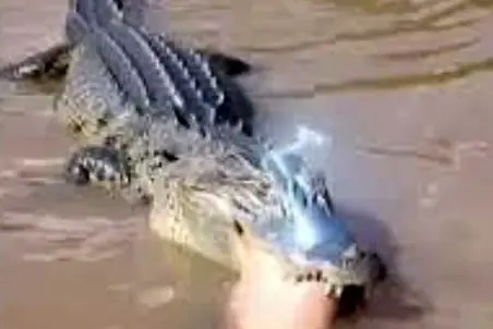 بر مدار وحش؛ تمساح ندونست ماهی جیزه دست زد اوف شد
