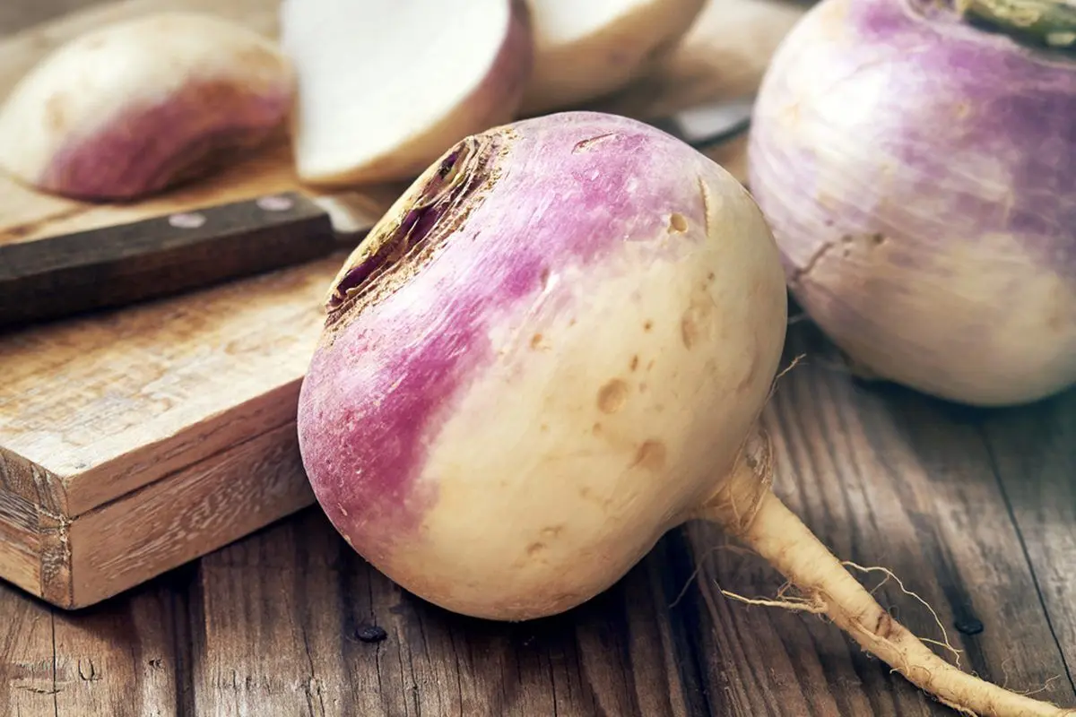 turnip